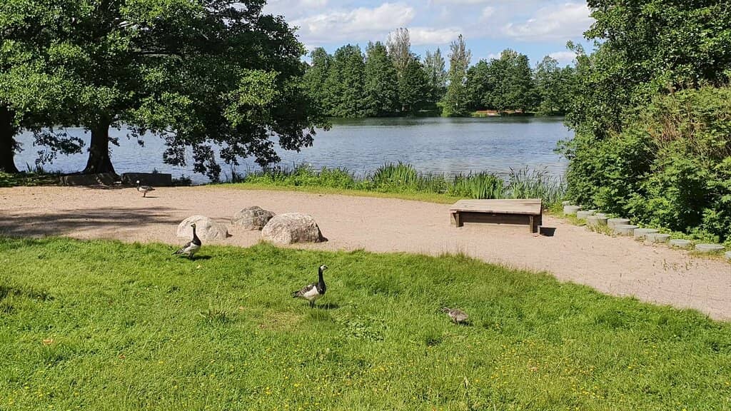 Lakeside Serenity