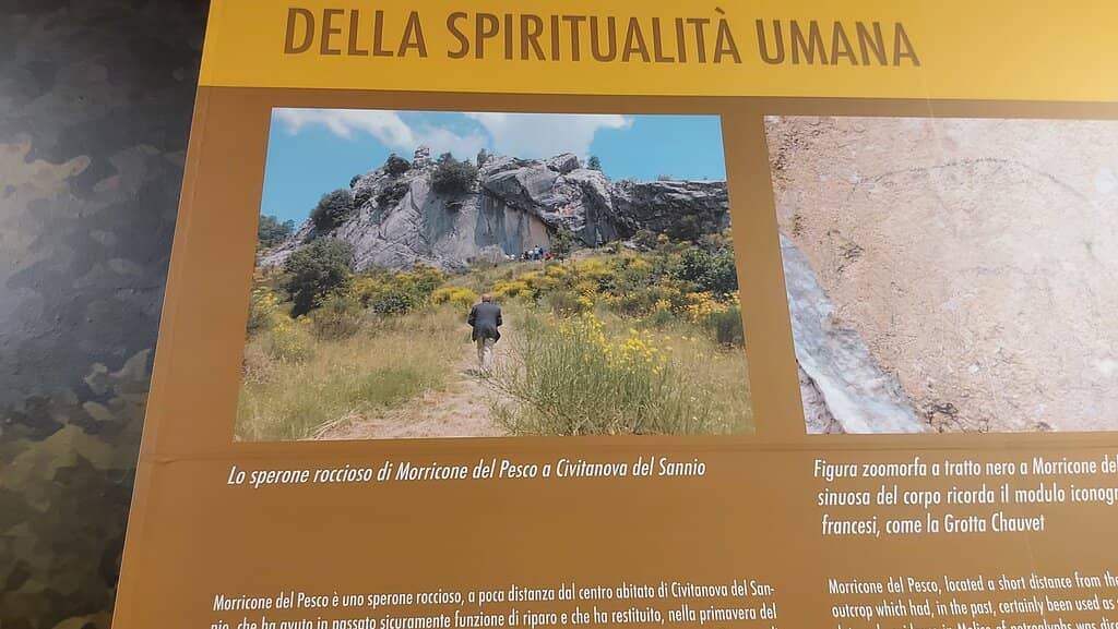 Museum Exhibits