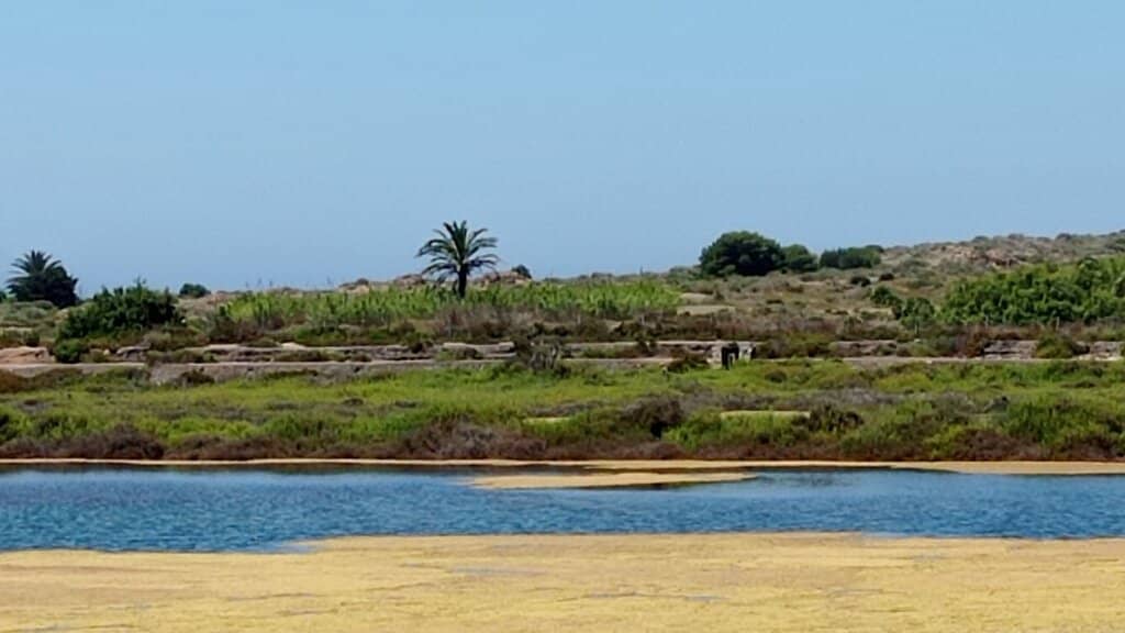 Coastal Walking Trails