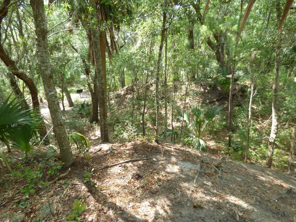 Maritime Forest Trails