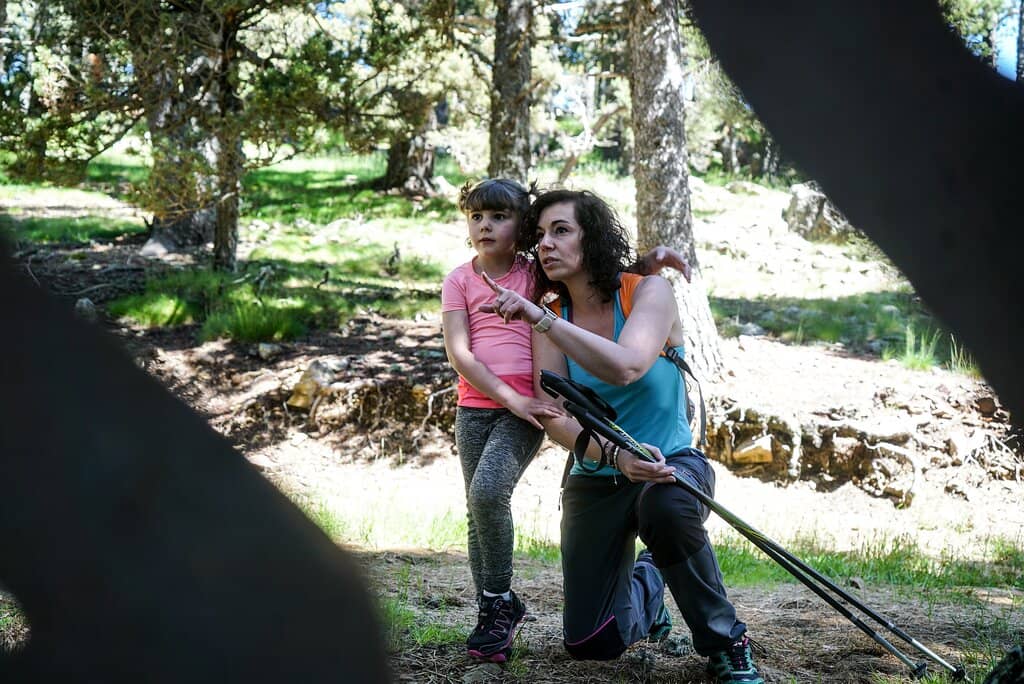 Sultan Sepeti (Sultan's Basket)