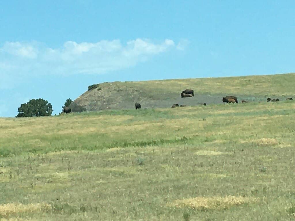 Hot Springs Area Exploration