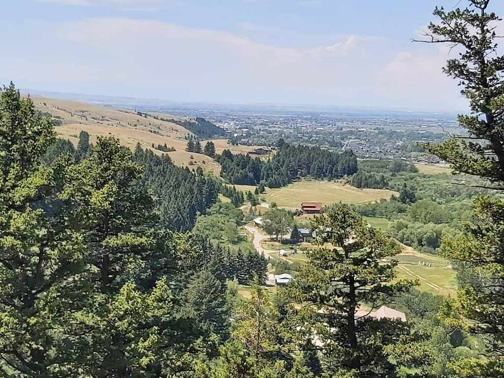 The 'Drinking Horse' Loop