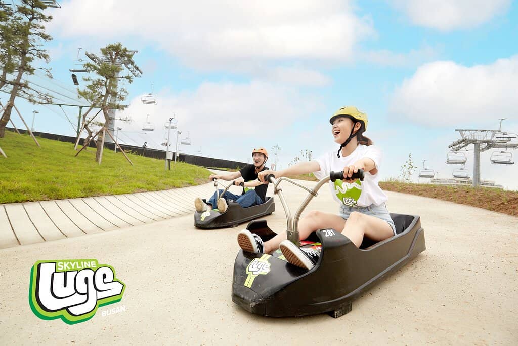 Zoom Down the Scenic Tracks