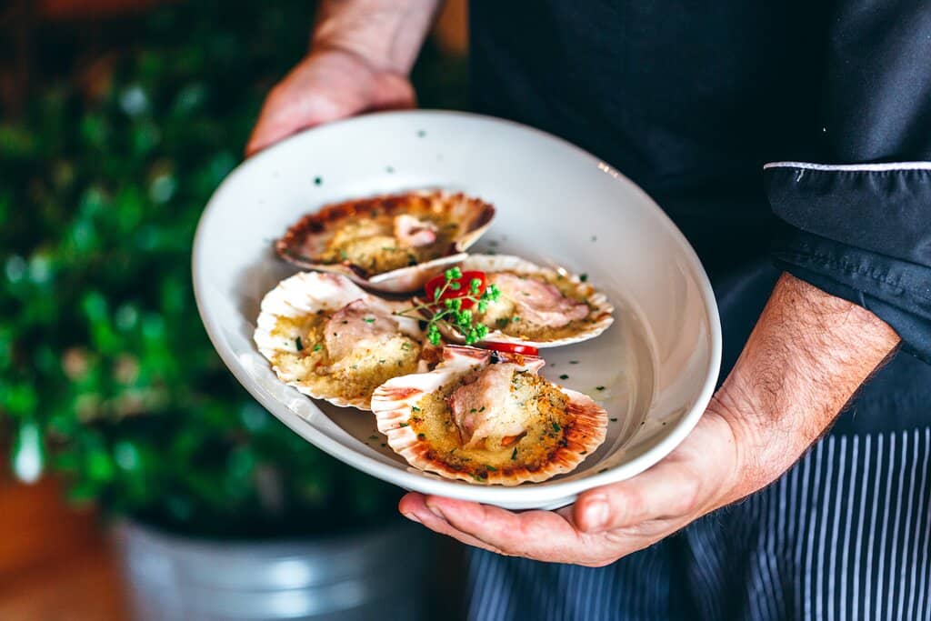 Charming Harbor Views