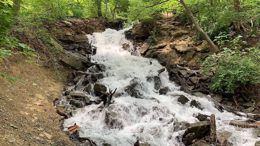 Historic Jail Cell & Grain Cellar