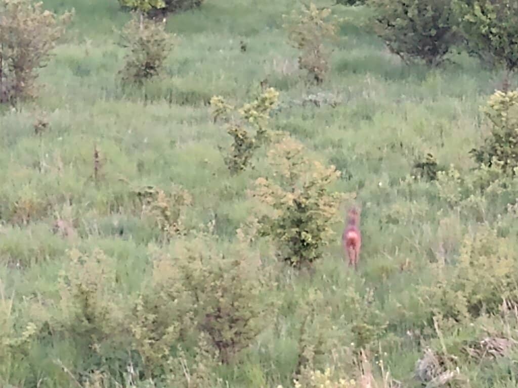 Adventure Playground