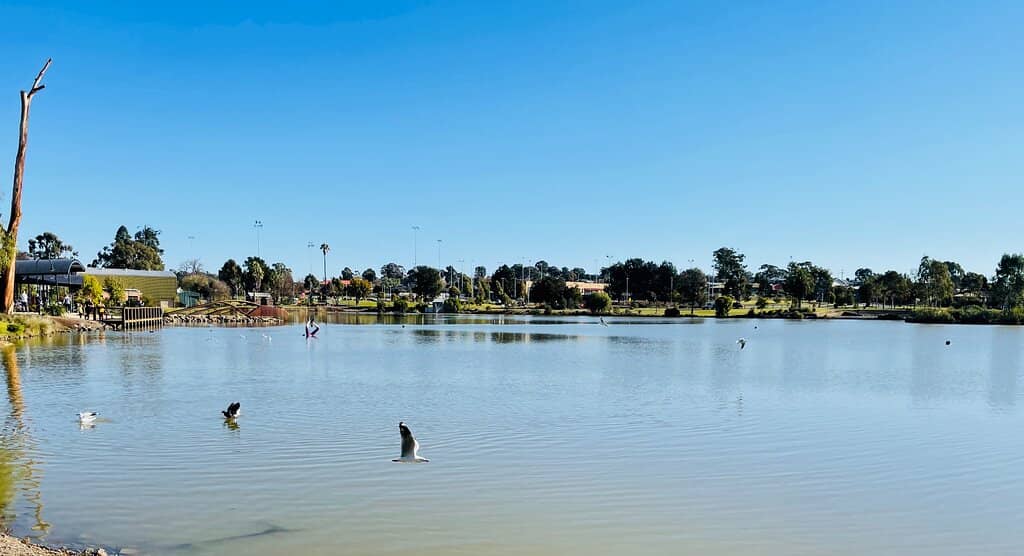 Dog-Friendly Waters