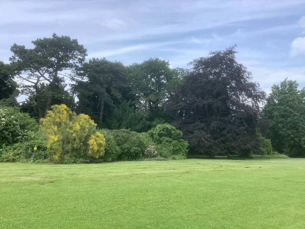 Picnic Spots