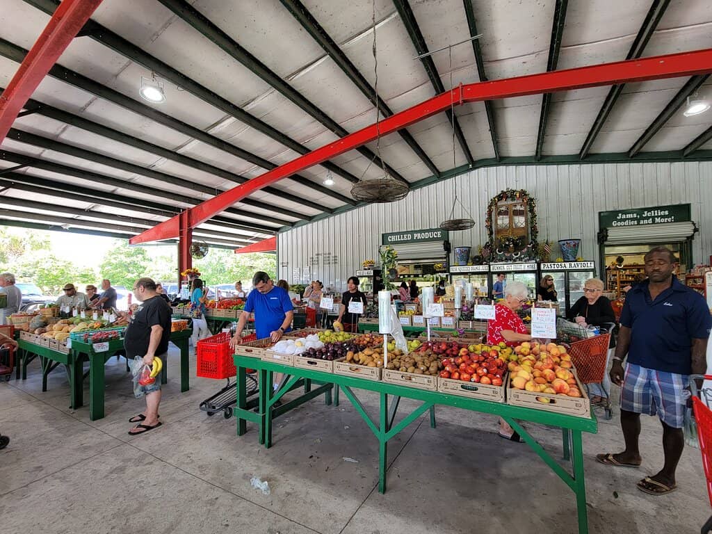 Plant Nursery