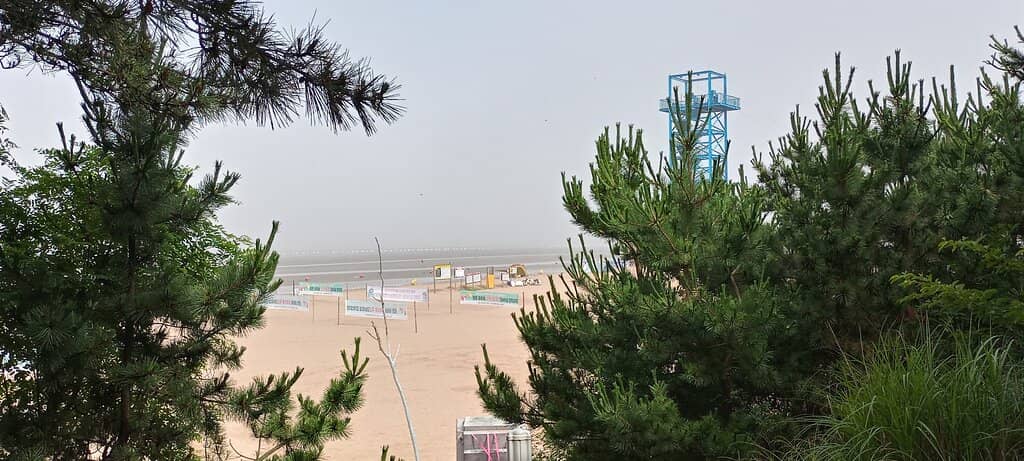 Tidal Flat Exploration