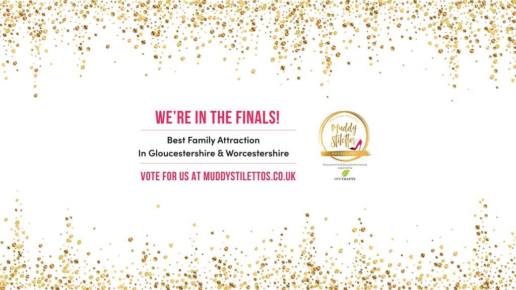 Punting on the Avon River