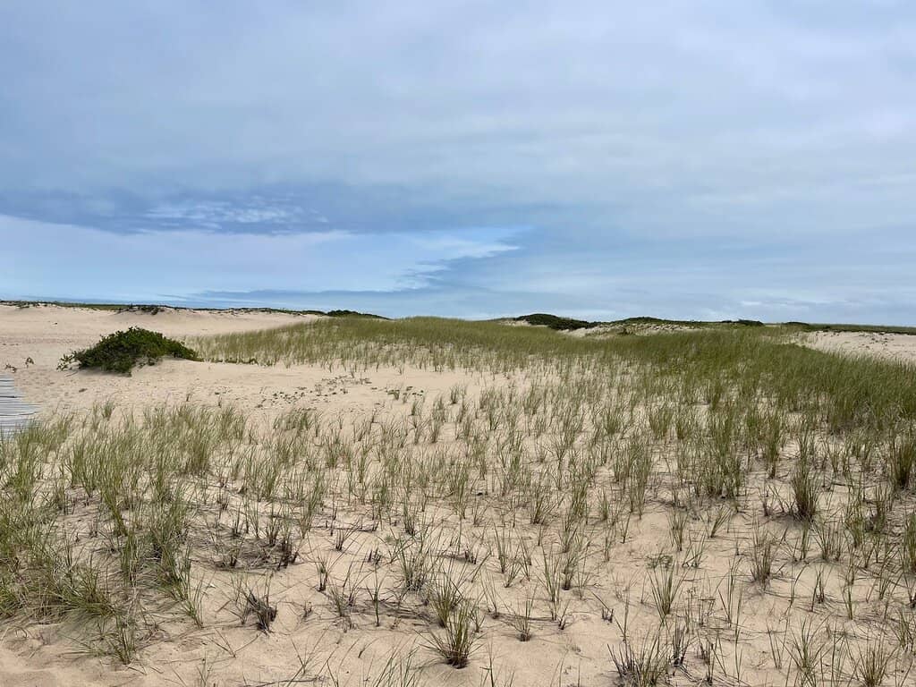 Coastal Trails