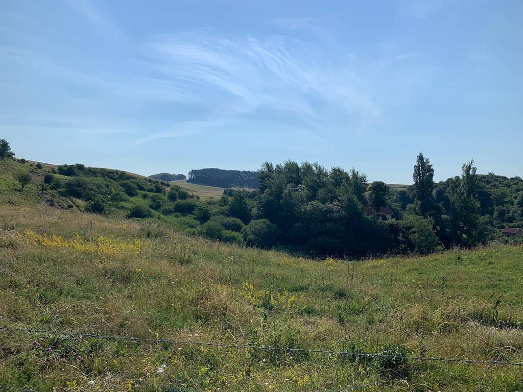 Seaside Picnic Spots