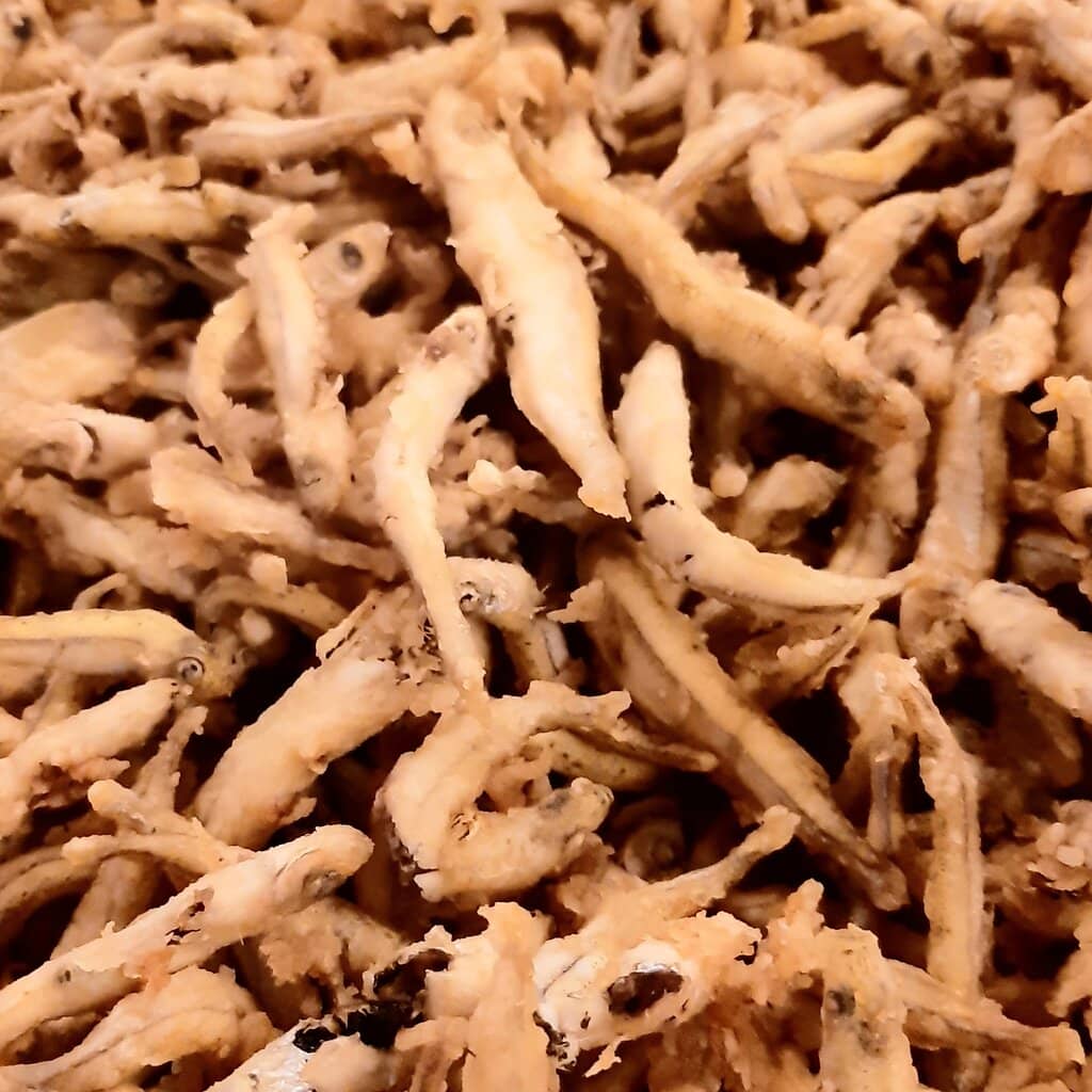 Stunning Sea Views and Ambiance