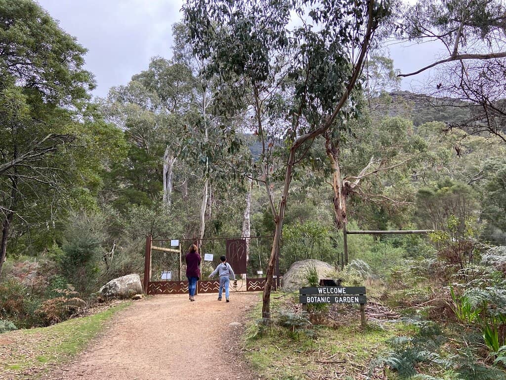 Indigenous Plant Information