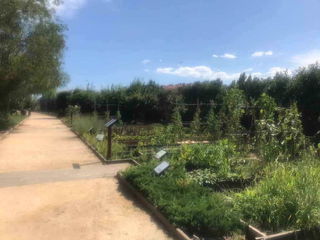 Local Flora and Fauna