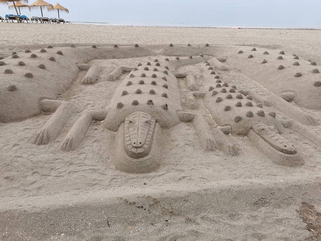 Caleta's Natural Pools