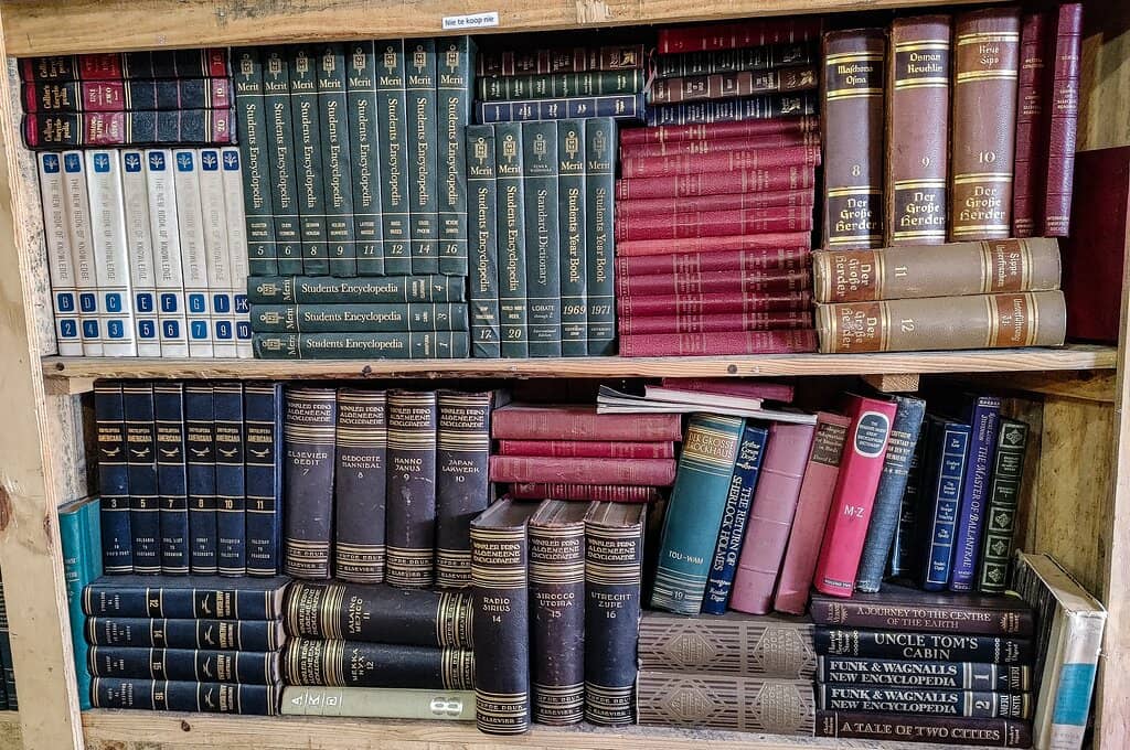 Charming Flower Displays