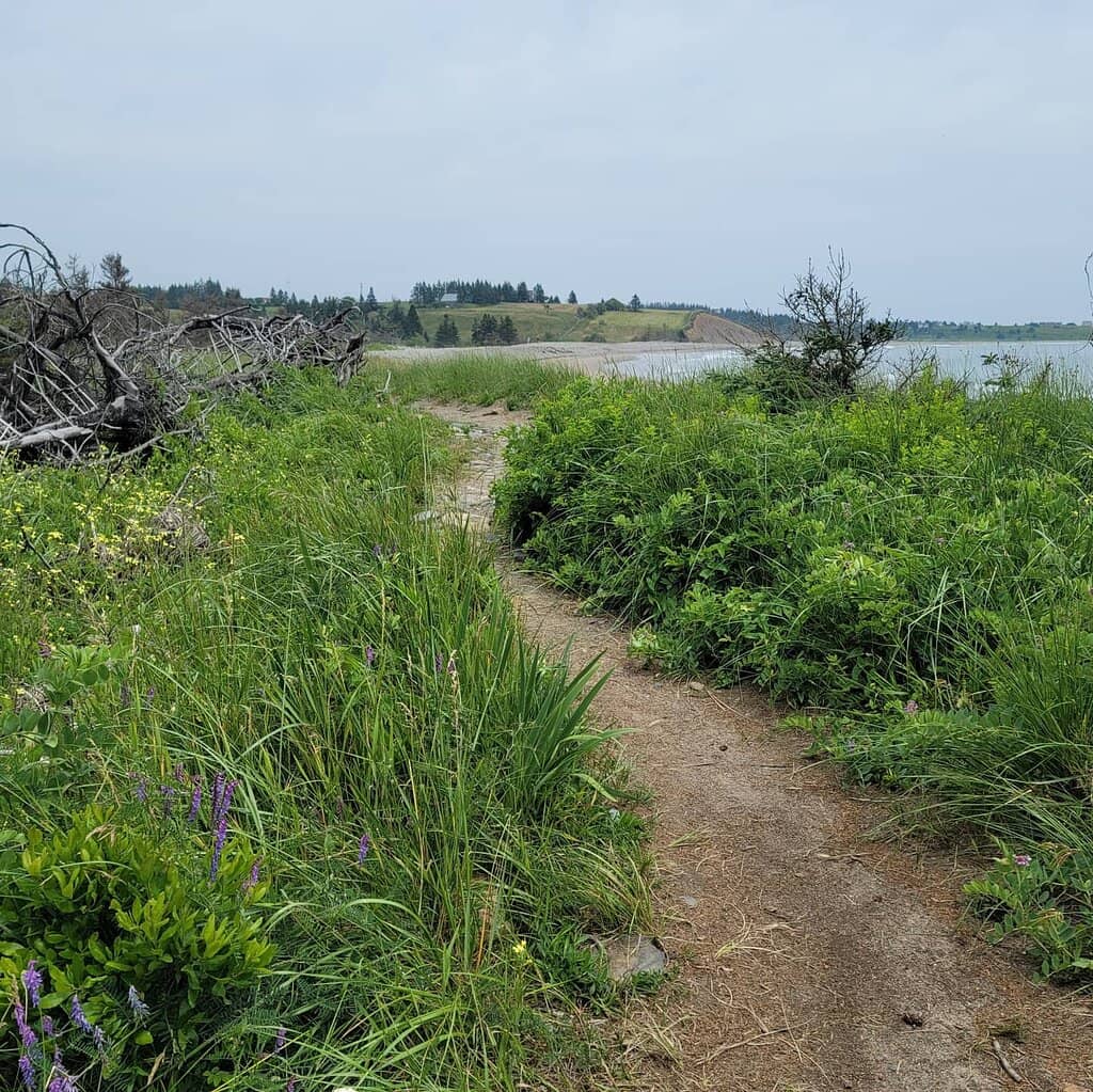 Secluded Secret Beach