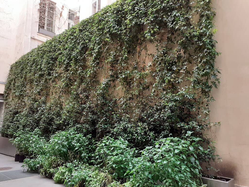 Mark Leckey's Extase