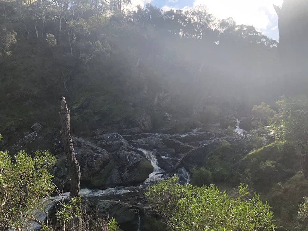 Tranquil Nature Walk