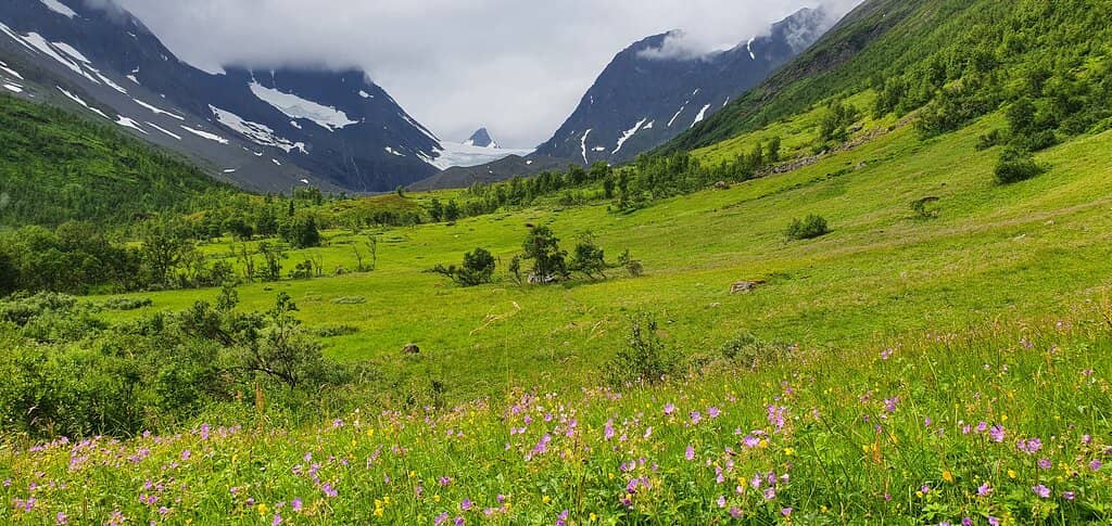 Lyngen Alps Panorama