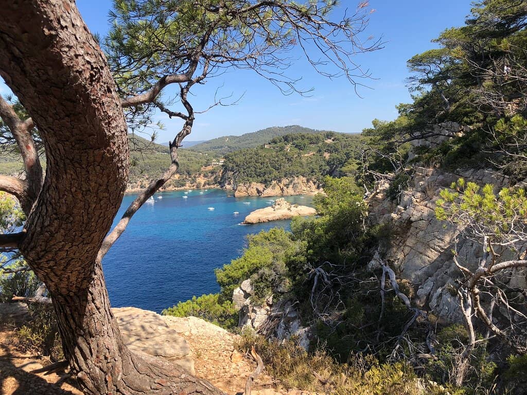 Vertical photo