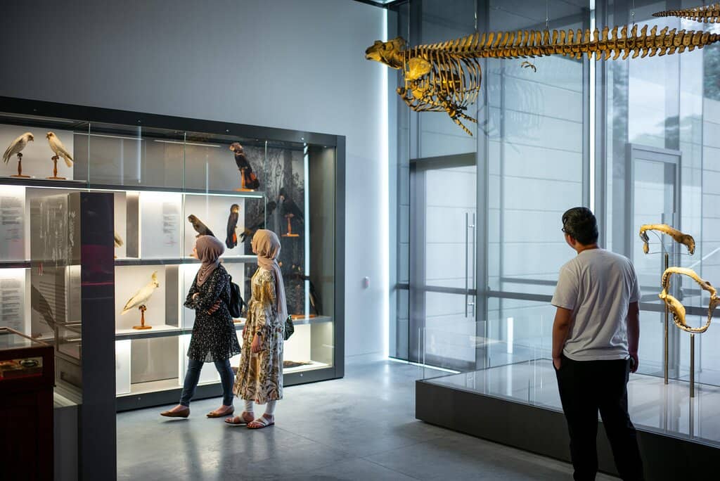 The 'Quinkan' Rock Art