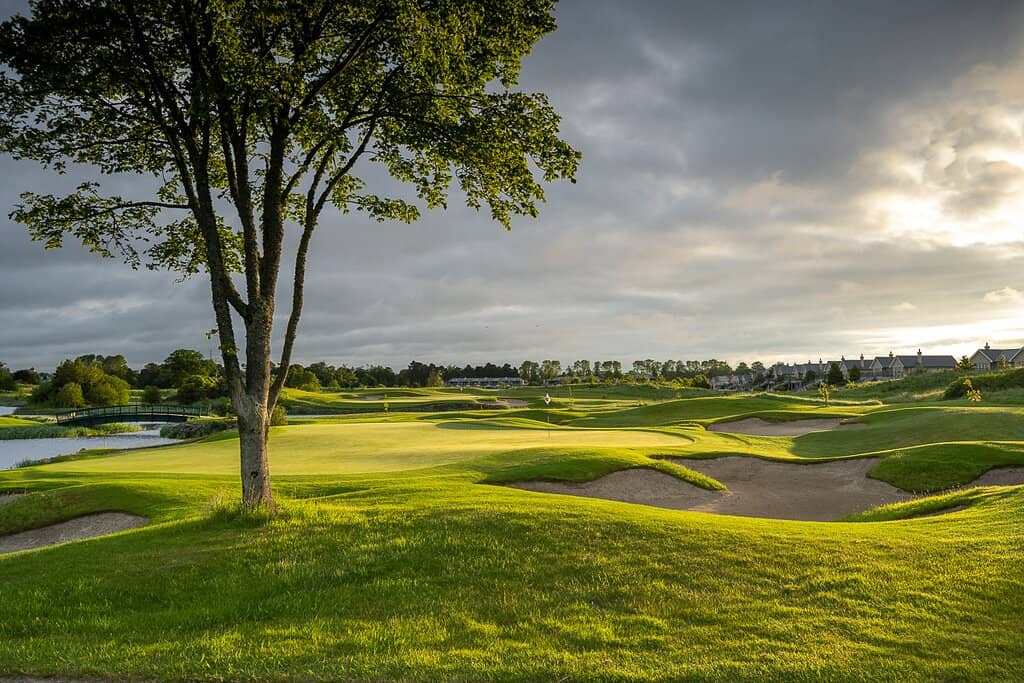 Refined Dining Experiences