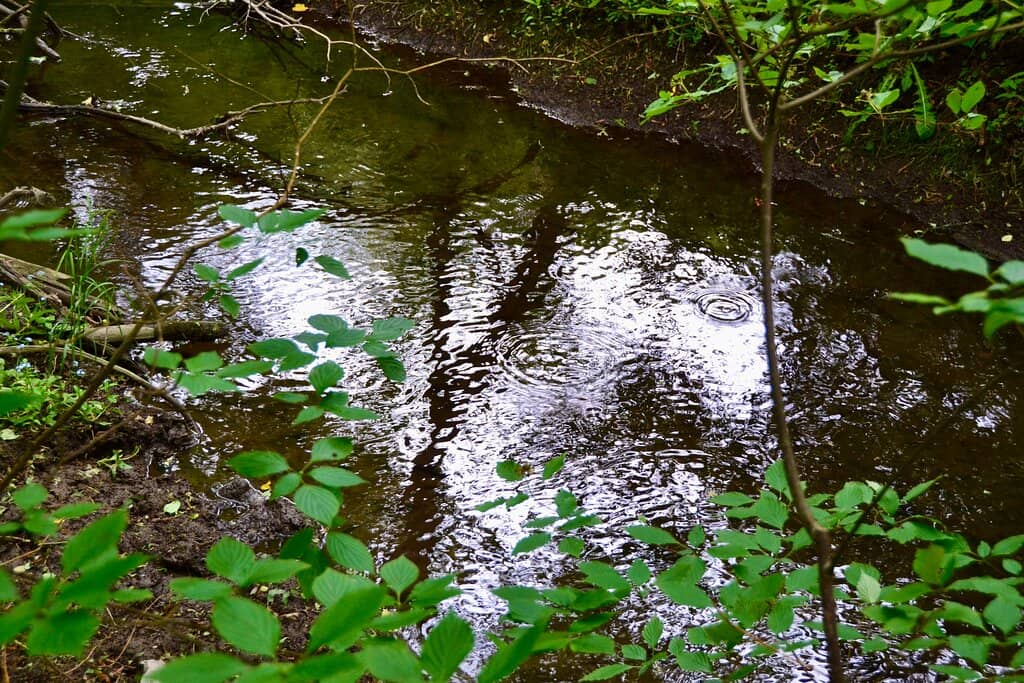 Historic Sheppard House