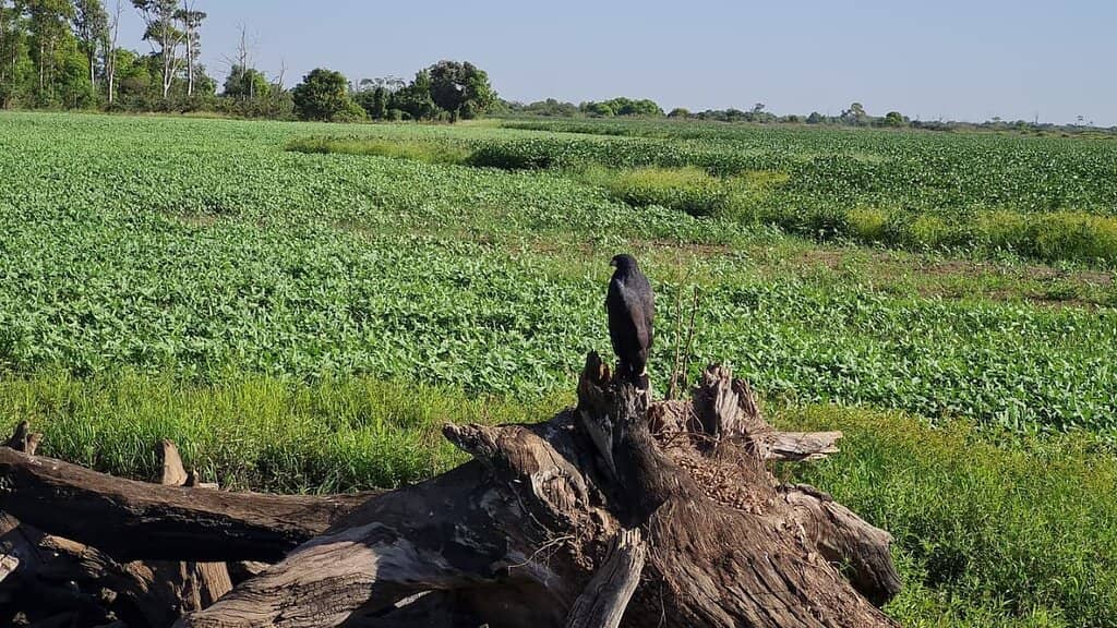 Sport Fishing Paradise