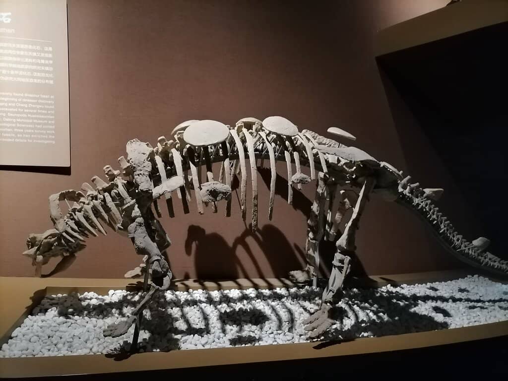 Unique Architectural Design