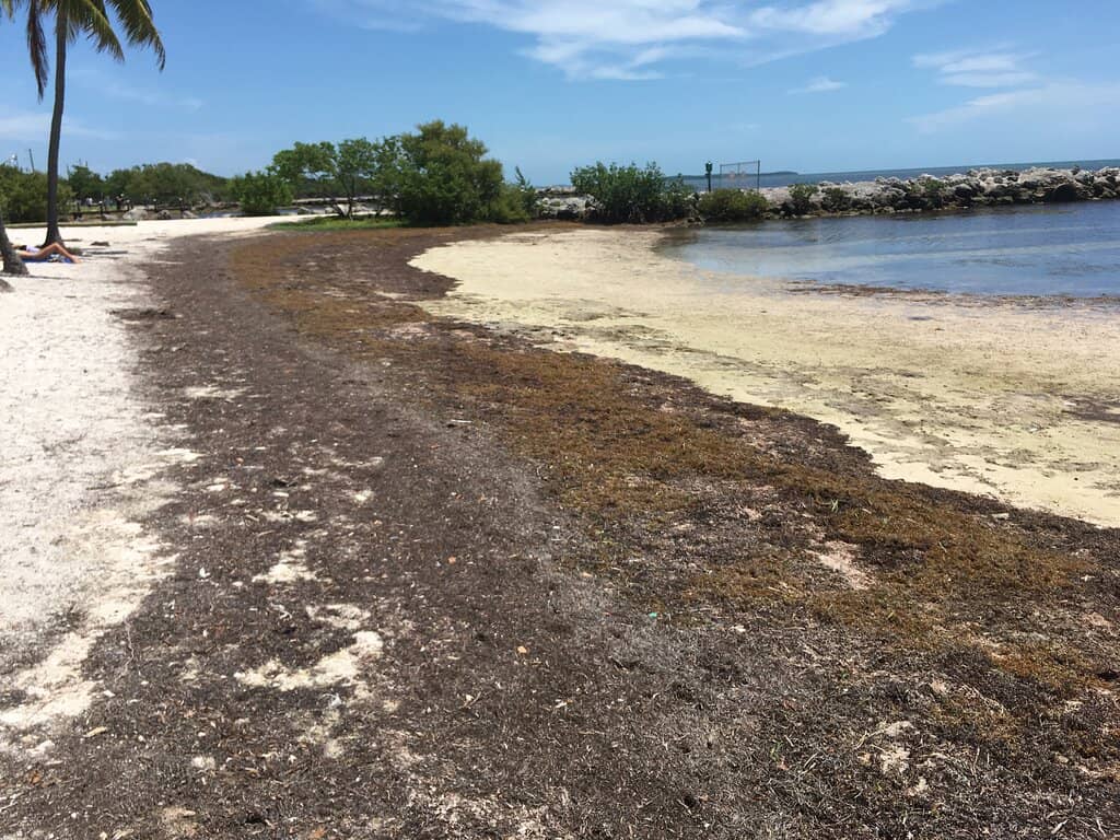 Boat Ramp Access