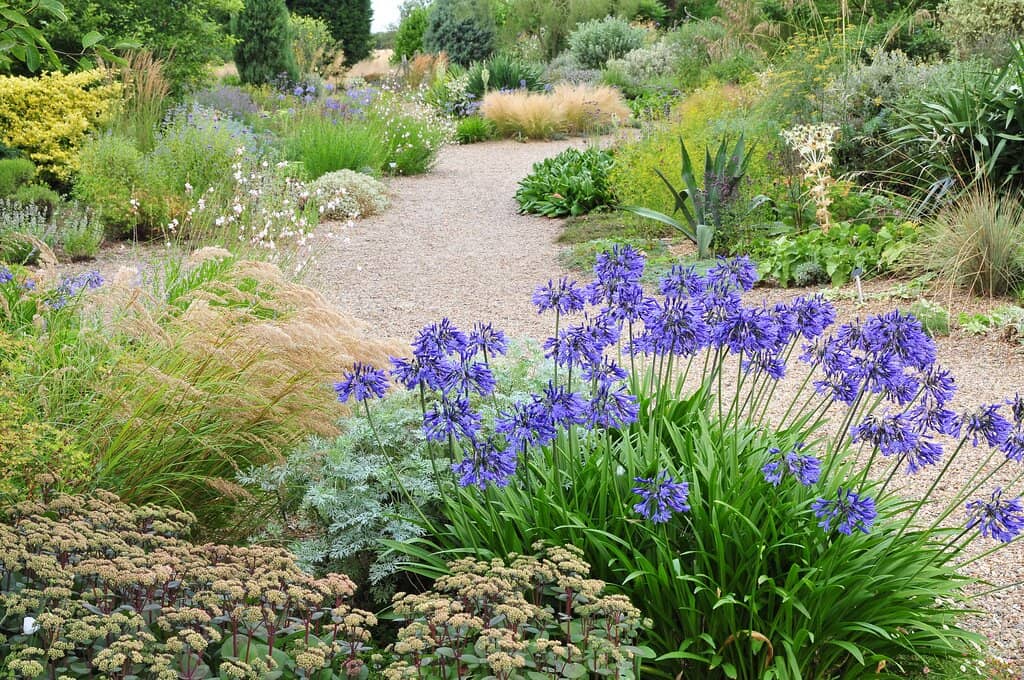 Water Garden