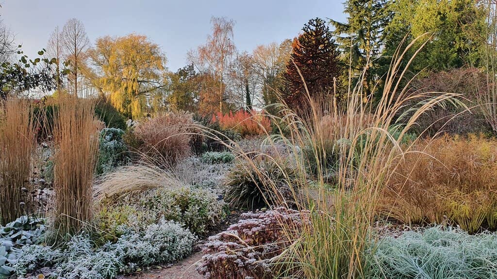 The Gravel Garden
