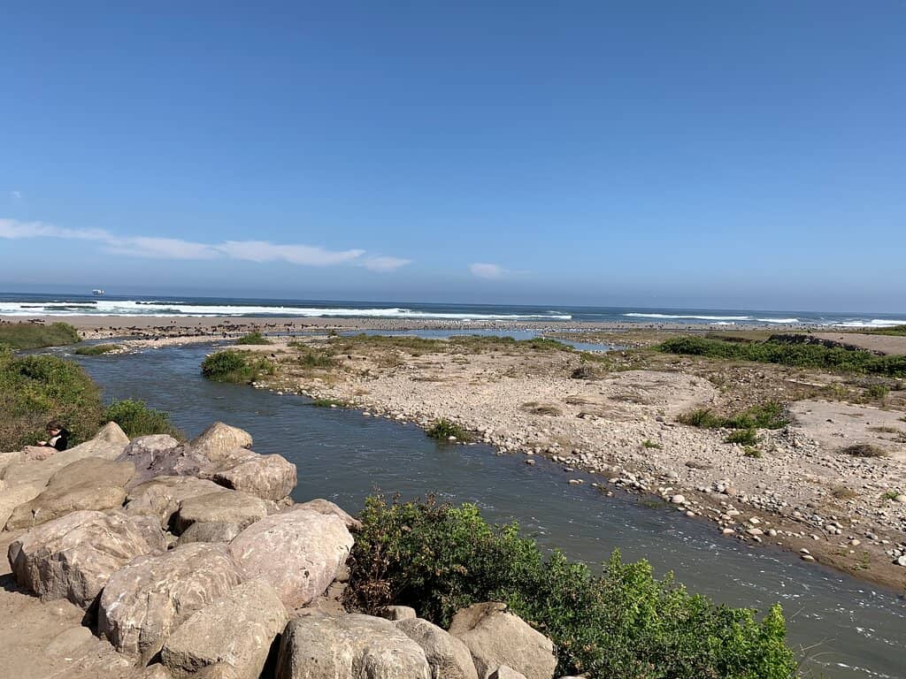 Ecological Research Site