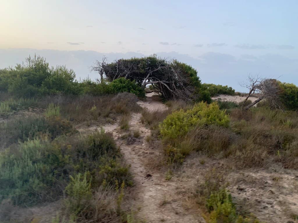 Vertical photo