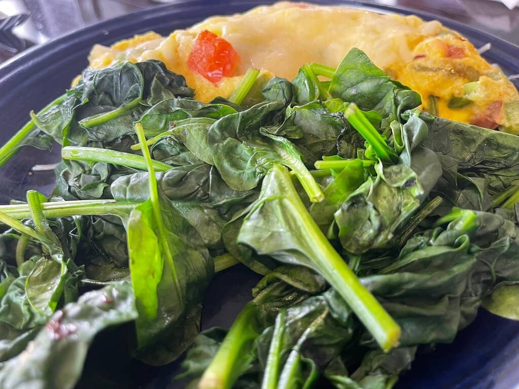 Abundant Marine Life