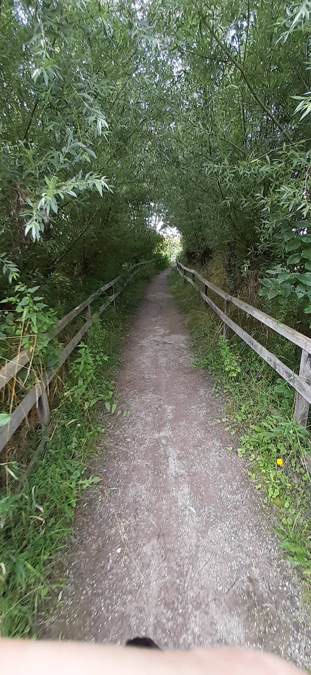 Tranquil Nature Walks
