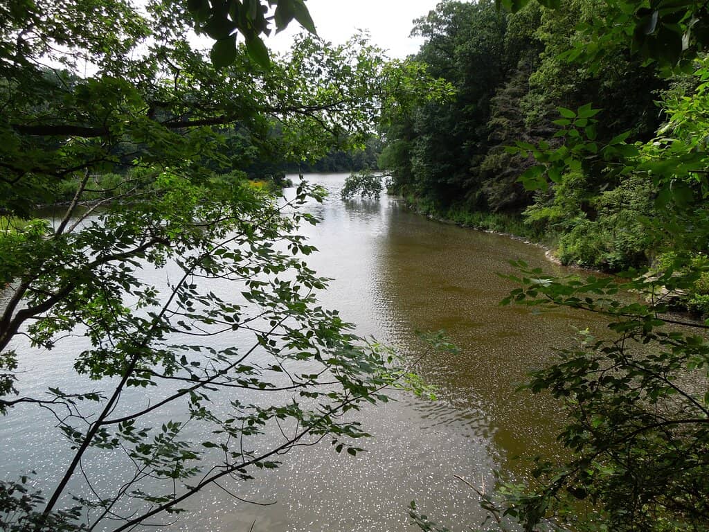 Tranquil Lake Walk