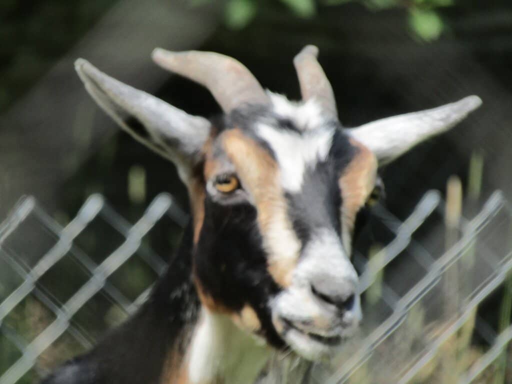 Unique Gift Shop Finds