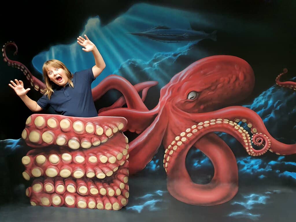 Photo Opportunities Galore