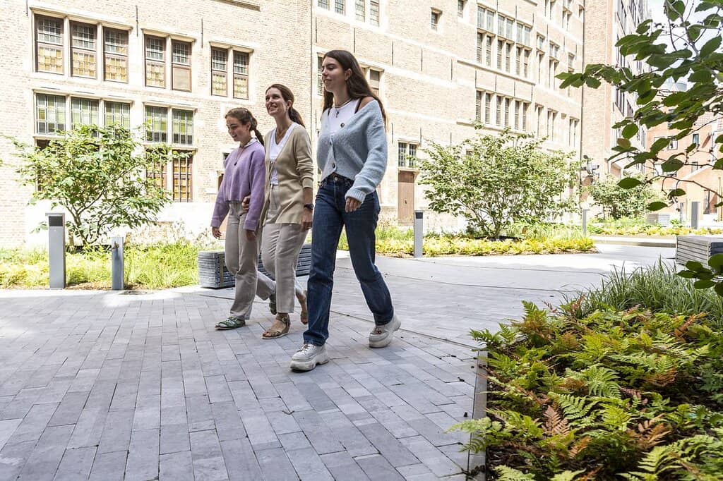 Contemporary Artistry