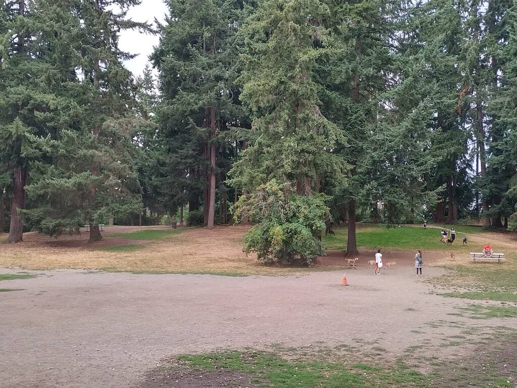 Dedicated Small Dog Zone