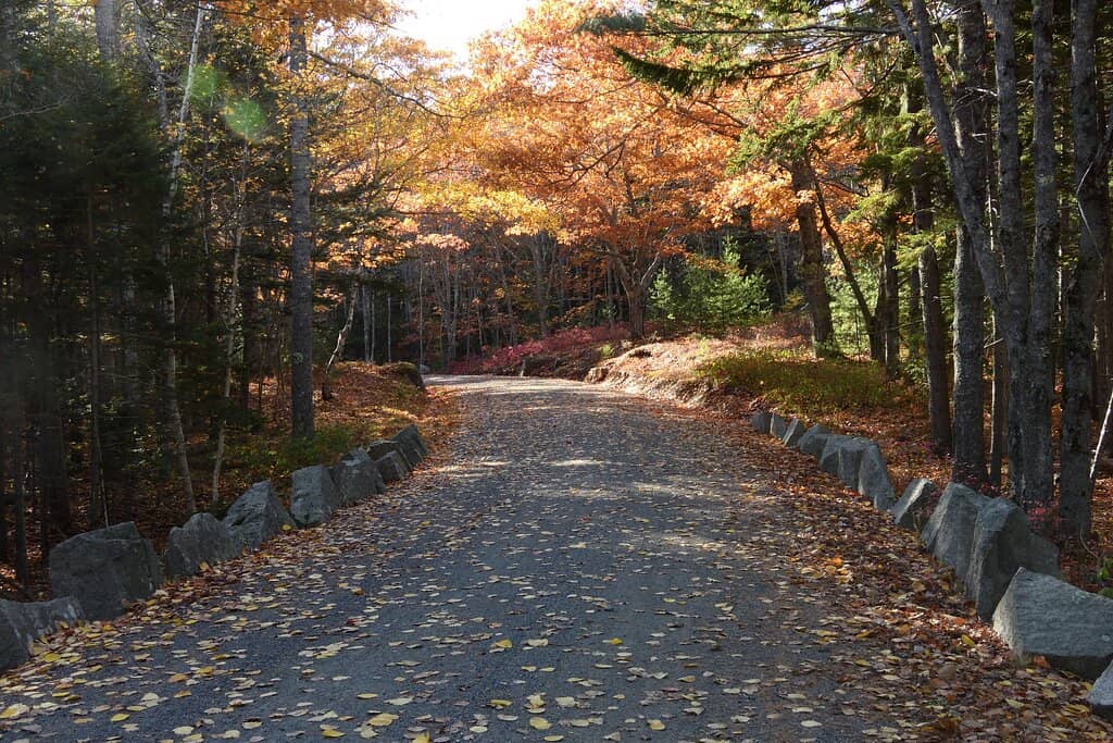 Acadia Carriage Roads