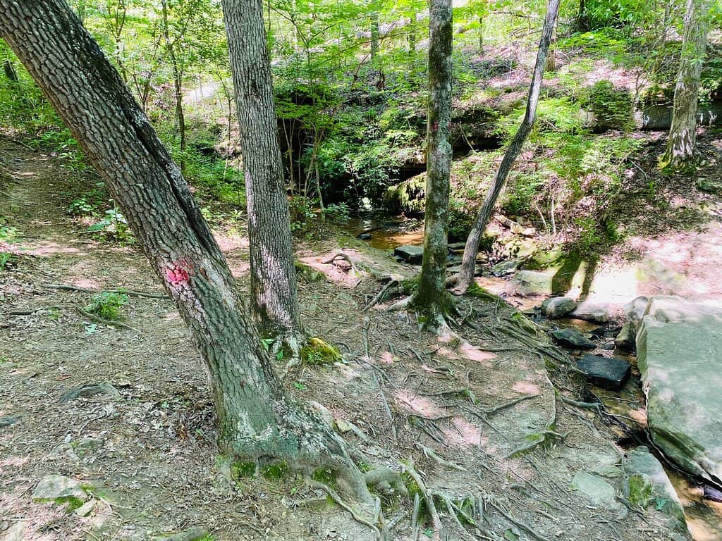 Hidden Waterfall Trail