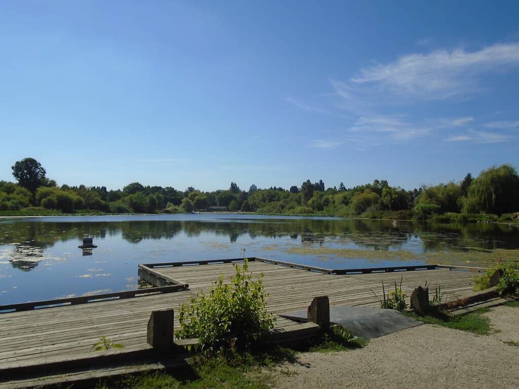 Trout Lake
