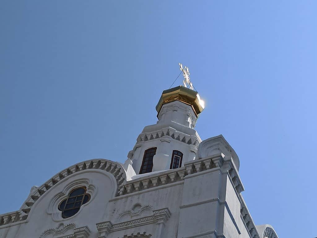 Vertical photo