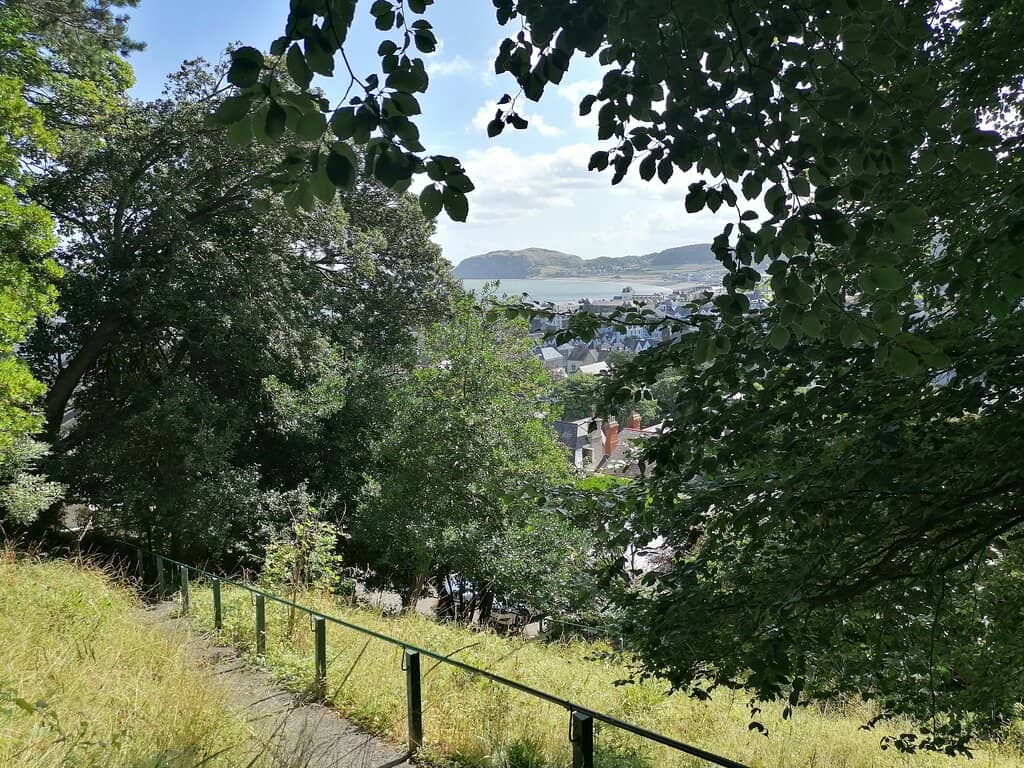 Vertical photo